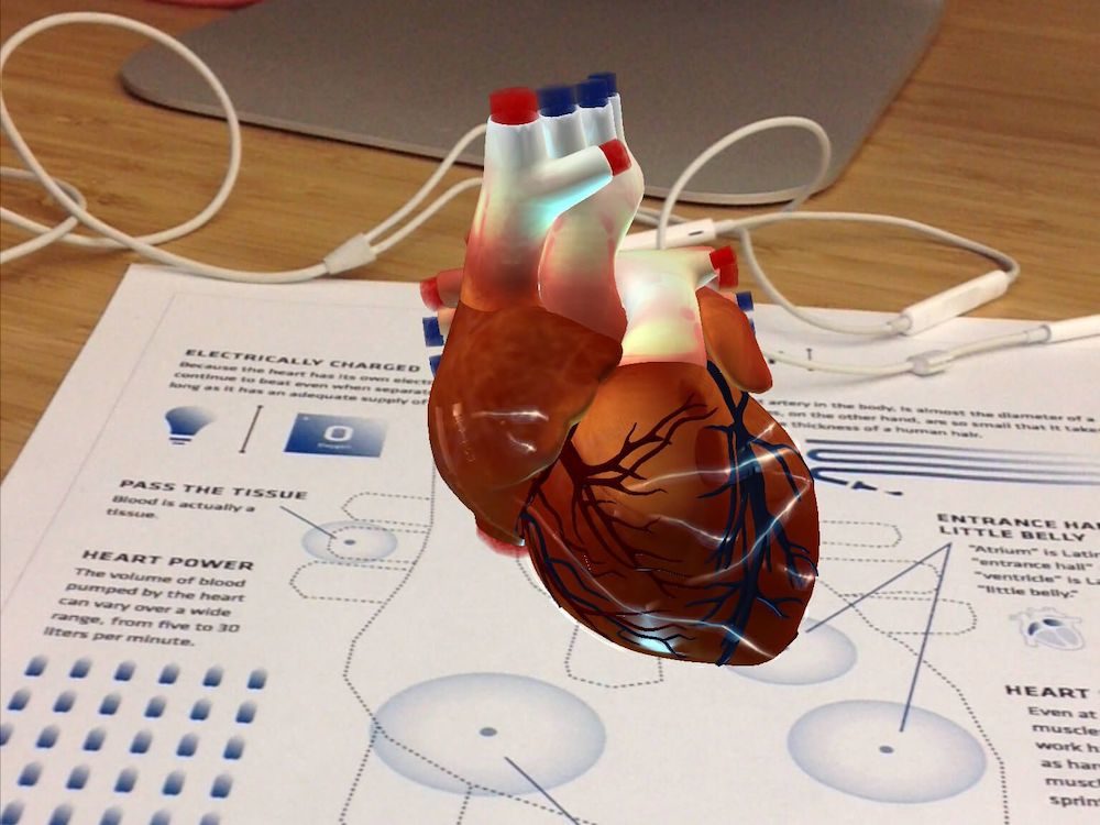 AR in Anatomy Classes