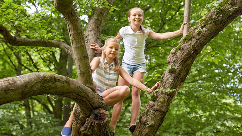 Forest School Seasonal Learning