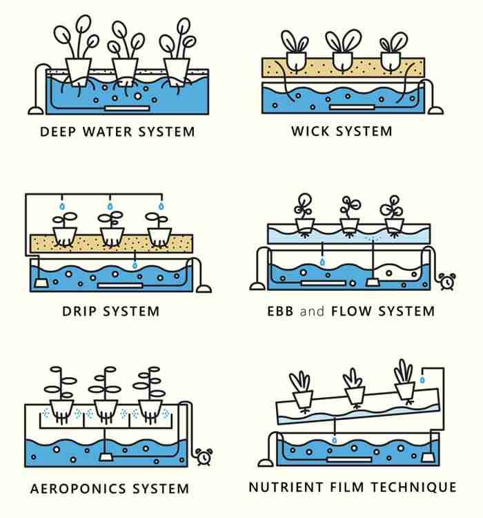 Types of Hydroponic Systems